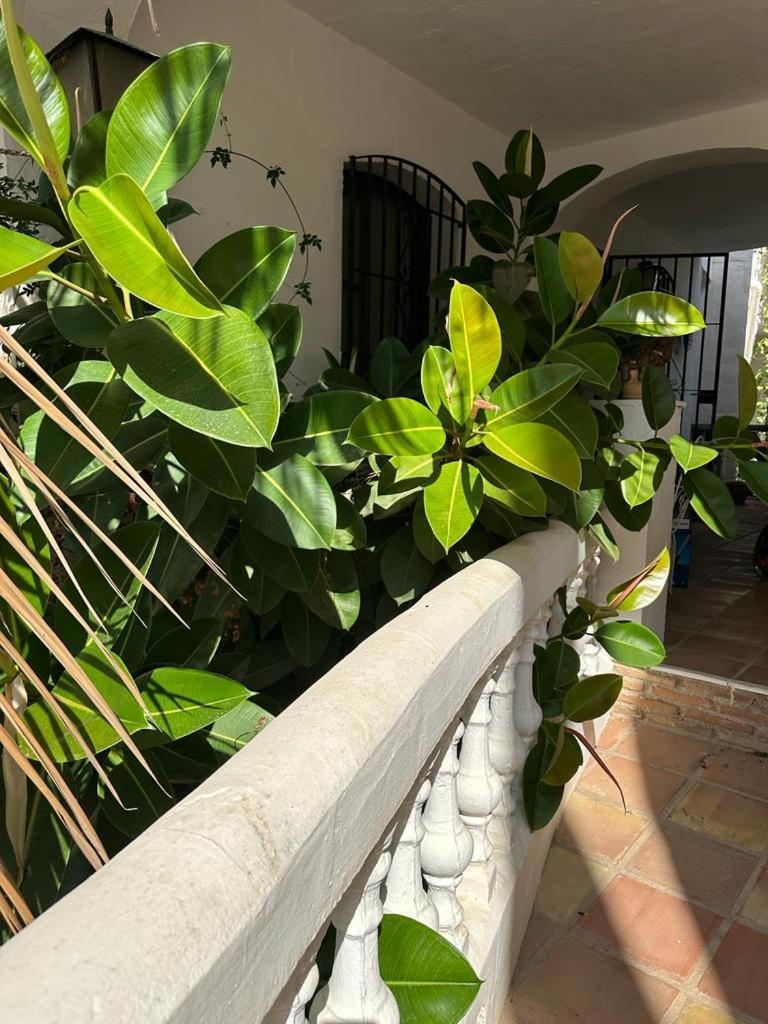 Apartamento Monte Cielo Nerja Exterior foto